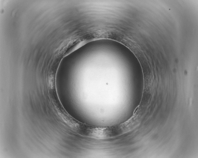 X0000088220090200705151424