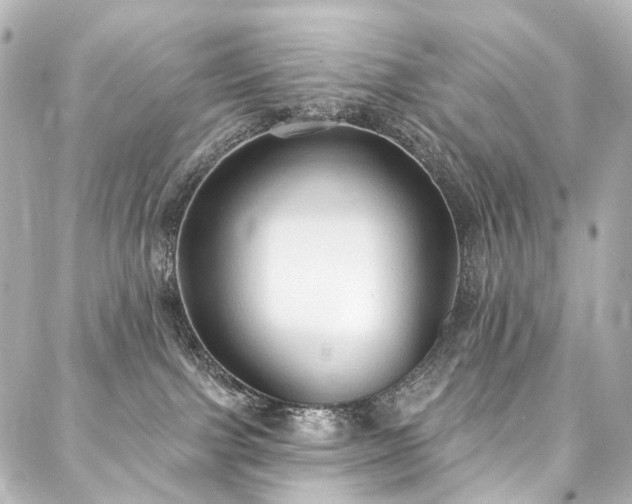 X0000088220091200705151424