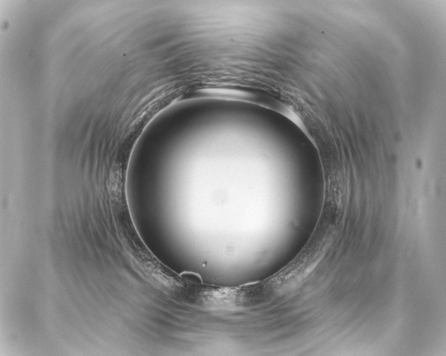 X0000088220092200705151424