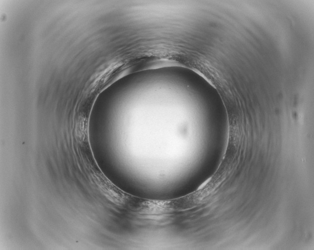 X0000088220093200705151424