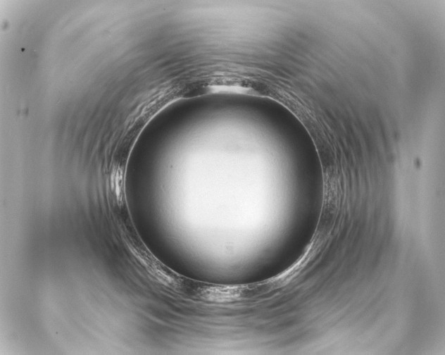 X0000088220094200705151424