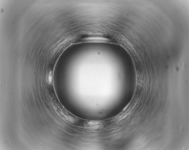 X0000088220095200705151424