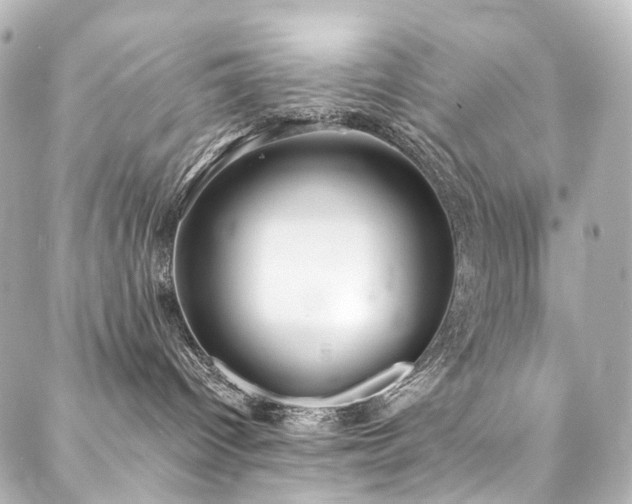 X0000088220096200705151424