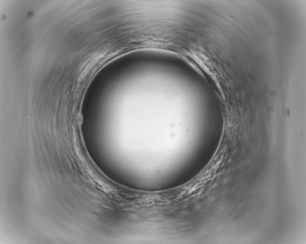 X0000088220097200705151423