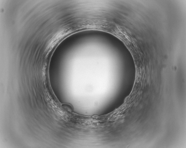 X0000088220098200705151423