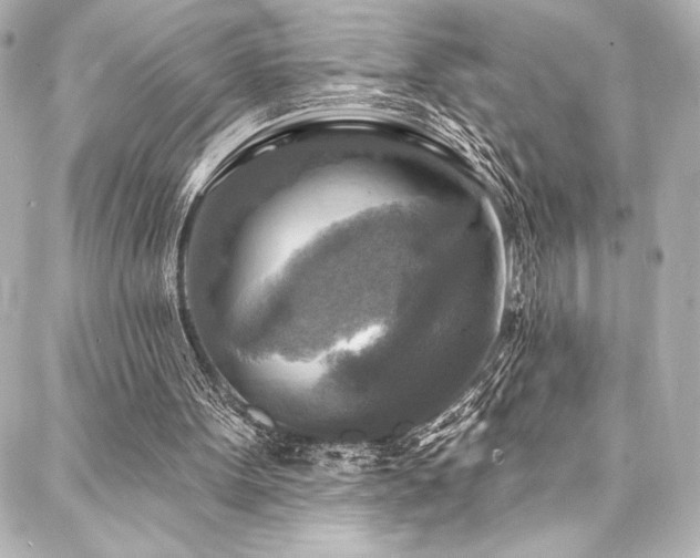 X0000088220099200705151423