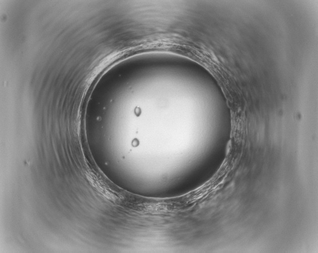 X0000088220100200705151423