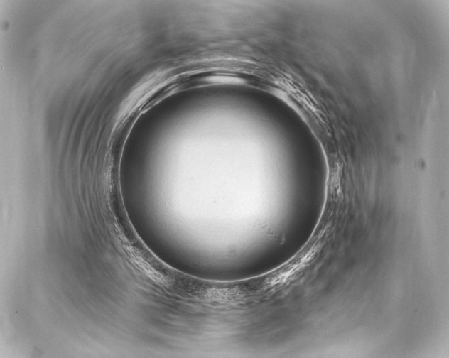 X0000088220101200705151423