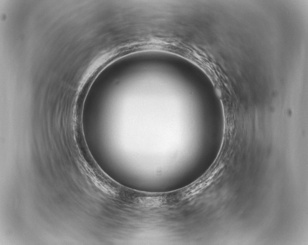 X0000088220102200705151423