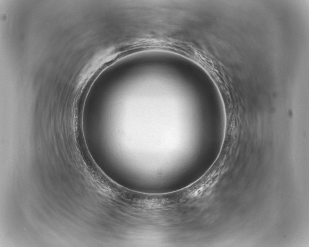 X0000088220103200705151423