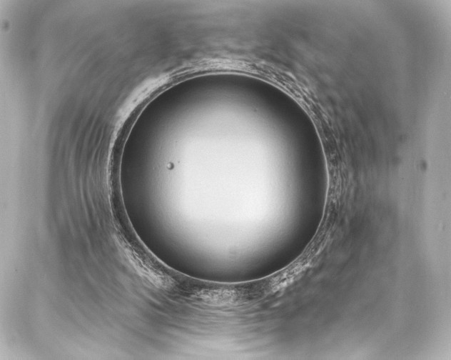 X0000088220104200705151423