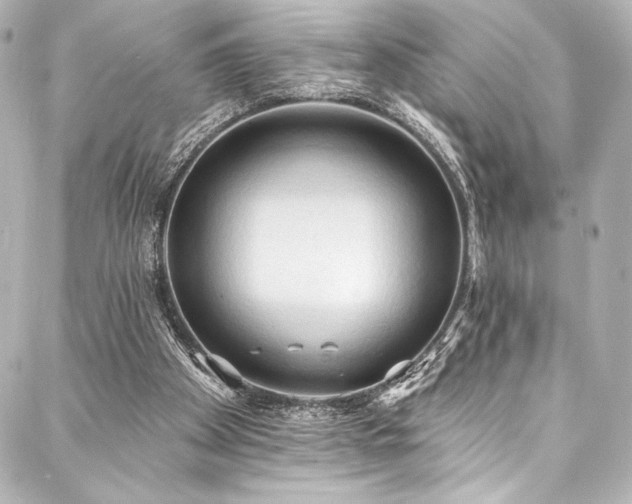 X0000088220105200705151423