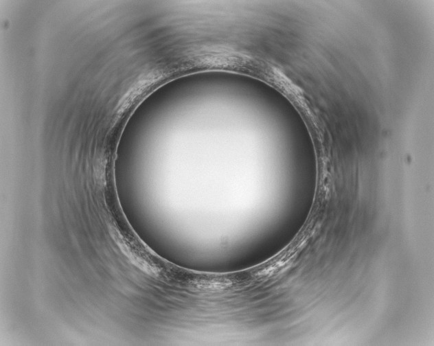 X0000088220106200705151423