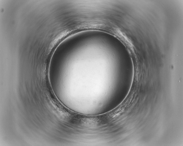 X0000088220107200705151423