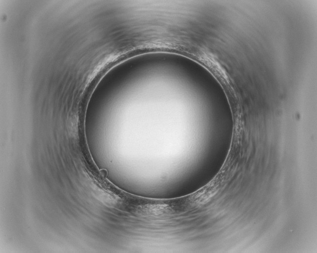 X0000088220108200705151423