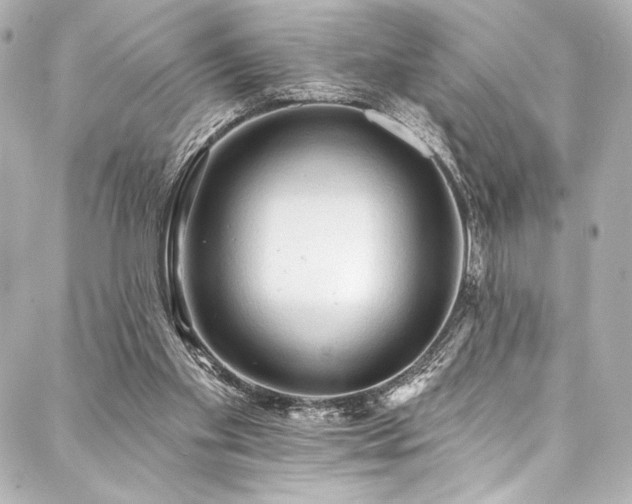 X0000088220109200705151423