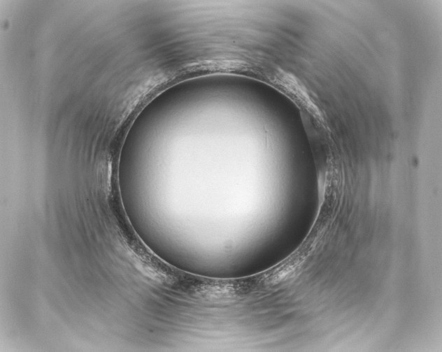 X0000088220110200705151423