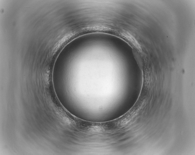 X0000088220111200705151423