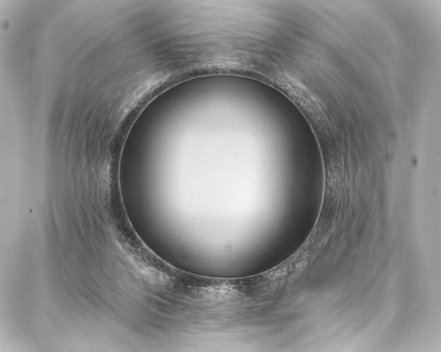 X0000088220112200705151423