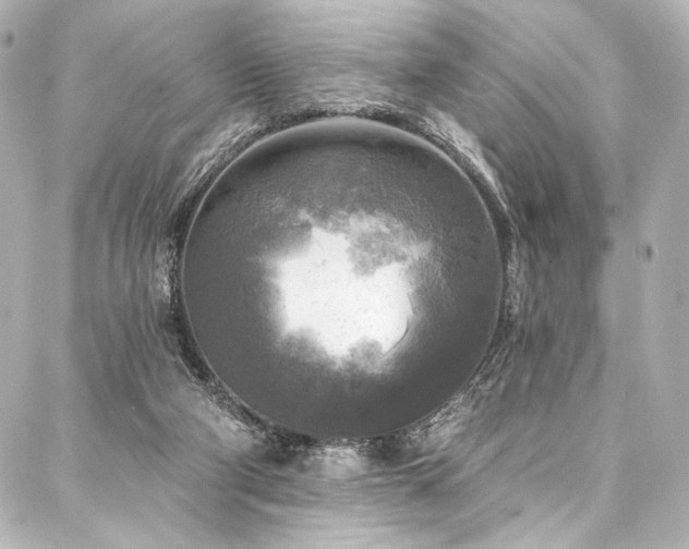 X0000088220114200705151423