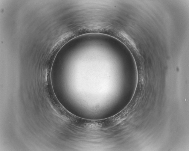 X0000088220115200705151423