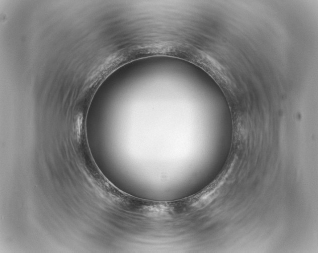 X0000088220118200705151423