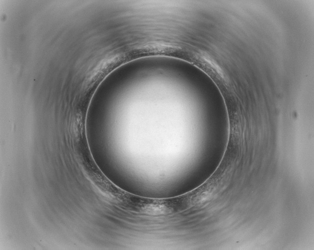 X0000088220119200705151423