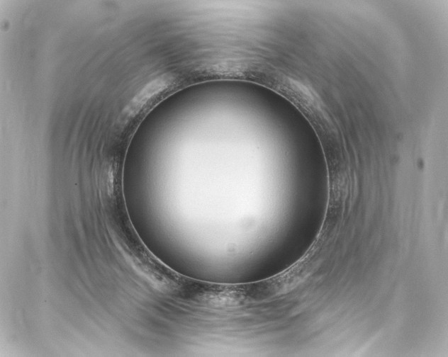 X0000088220120200705151423