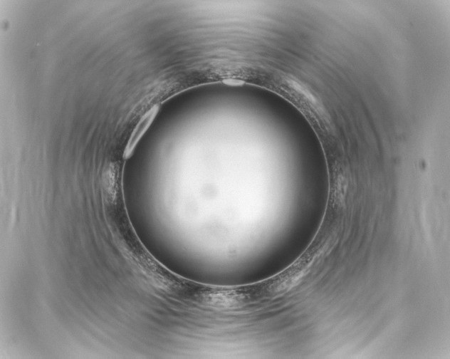 X0000088220121200705151423