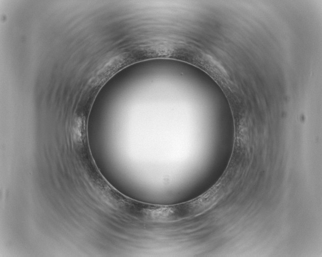 X0000088220122200705151423