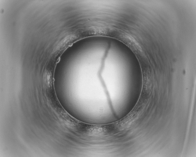 X0000088220123200705151423