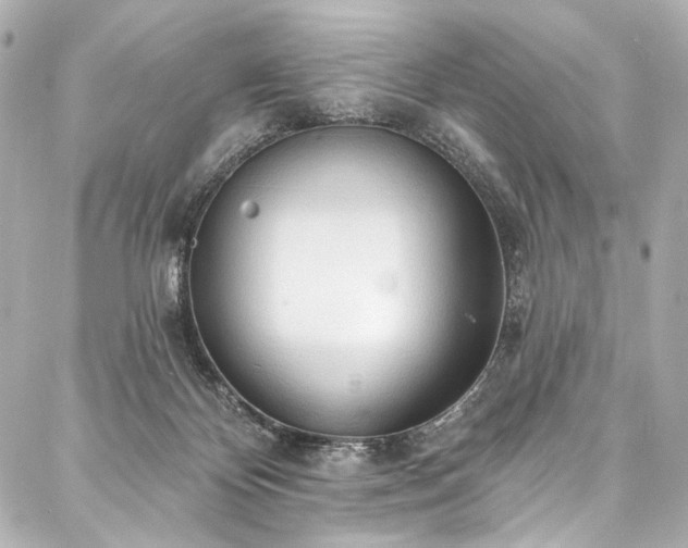 X0000088220124200705151423