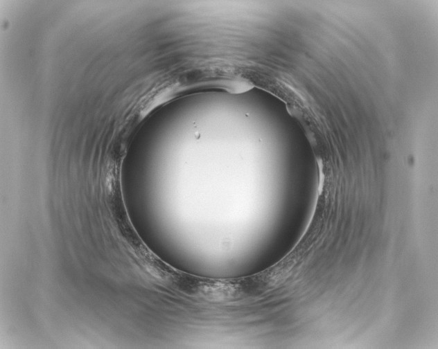 X0000088220125200705151423