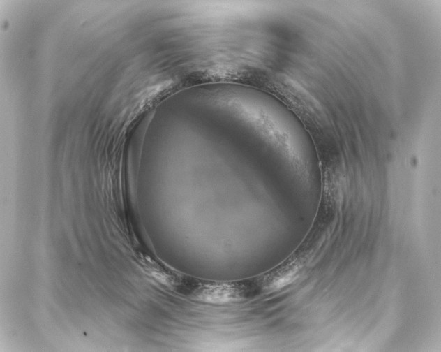 X0000088220127200705151423