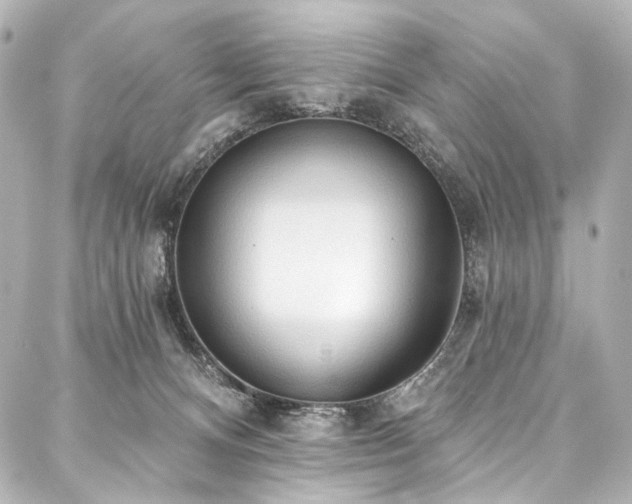 X0000088220128200705151423