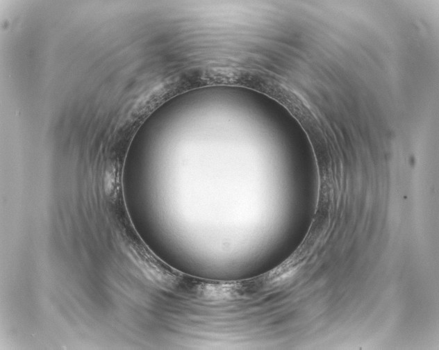 X0000088220134200705151423