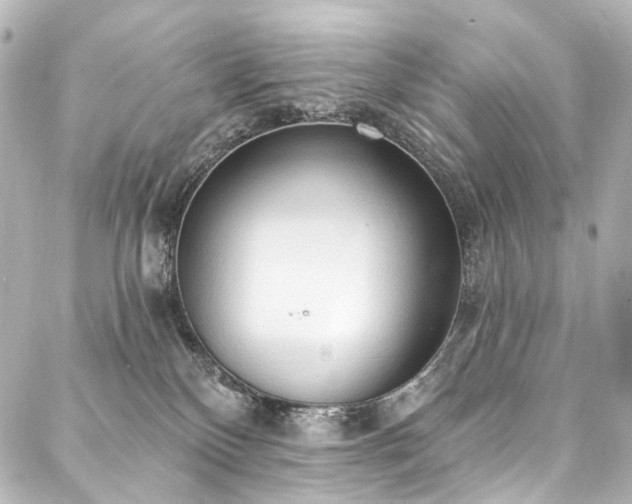 X0000088220136200705151423