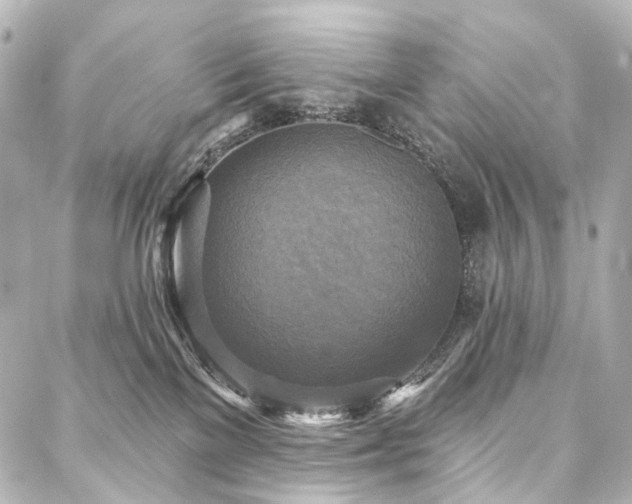 X0000088220137200705151423