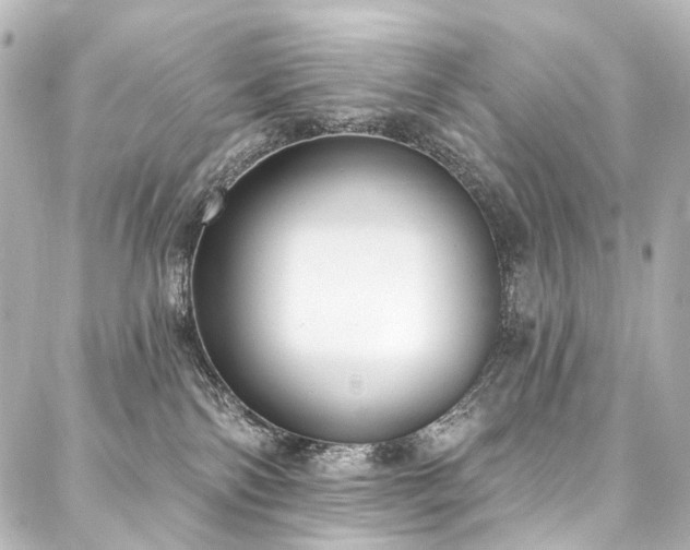 X0000088220138200705151423