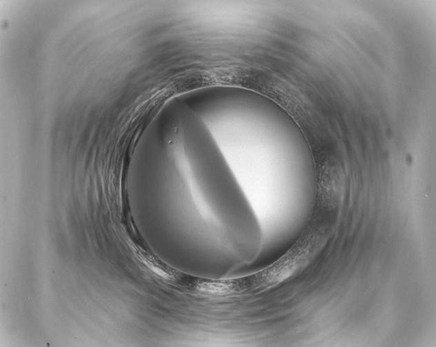 X0000088220139200705151423