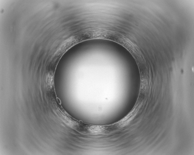 X0000088220142200705151423