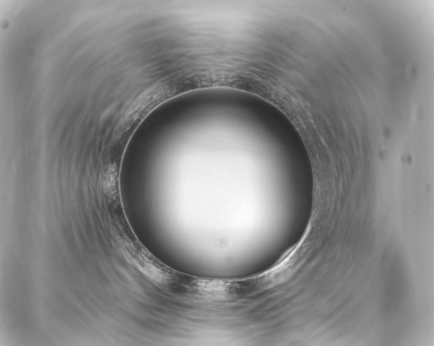 X0000088220144200705151423