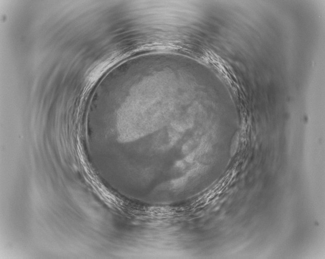 X0000088220145200705151422