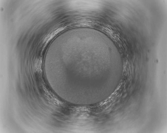 X0000088220146200705151422