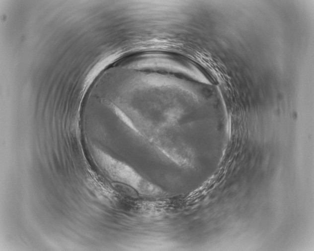 X0000088220147200705151422