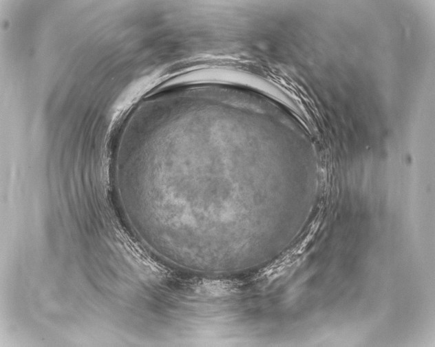 X0000088220149200705151422