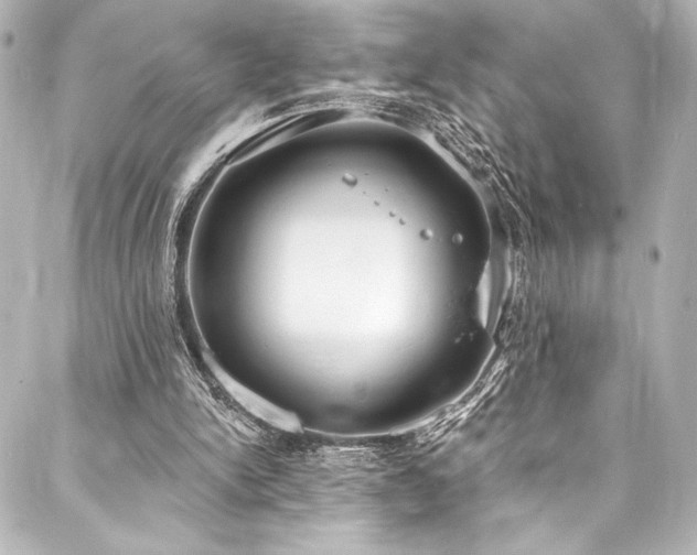 X0000088220150200705151422