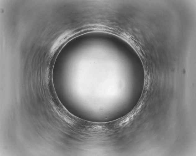 X0000088220151200705151422