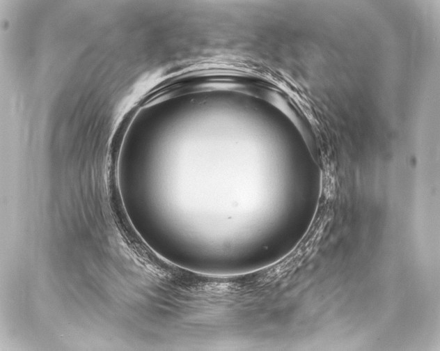 X0000088220152200705151422