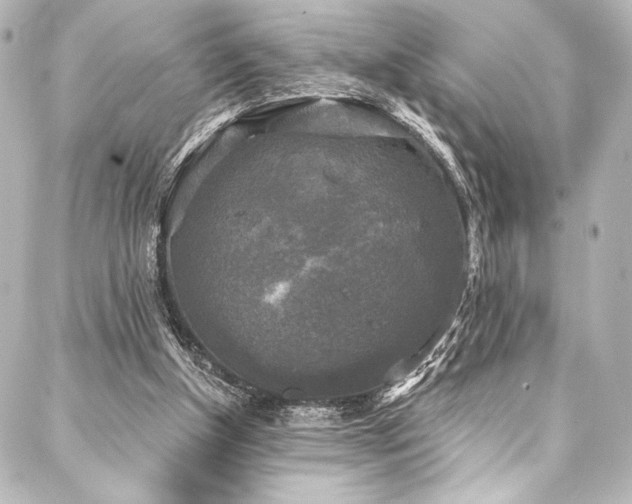 X0000088220154200705151422